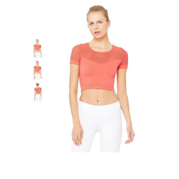 Alo Yoga Mesh Crop Top - Picture 2 of 3